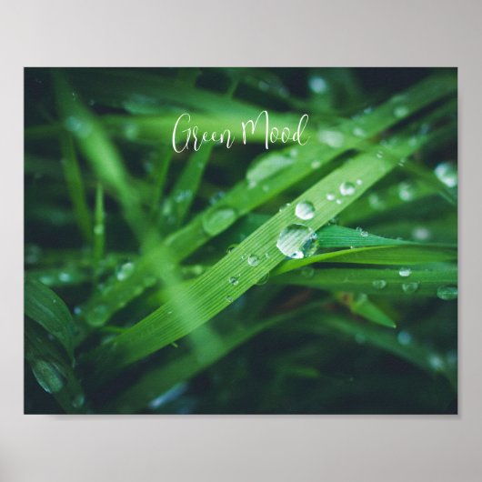 Poster Herbe verte (Devant)