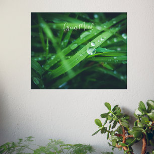 Poster Herbe verte