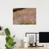 Poster Herbe violette et fleurs sauvages (Bureau à domicile)