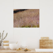 Poster Herbe violette et fleurs sauvages (Cuisine)