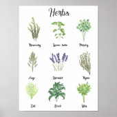 Poster Herbes Aquarelle Sage Thyme Rosemary Cuisine (Devant)