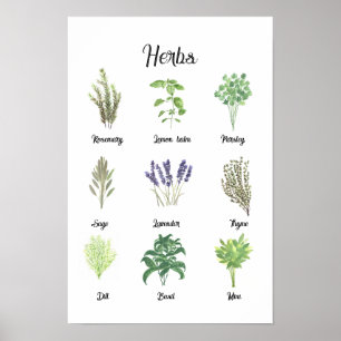 Poster Herbes Aquarelle Sage Thyme Rosemary Cuisine