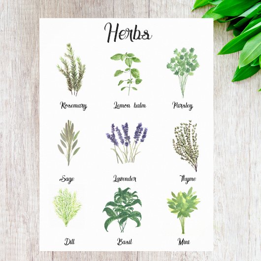 Poster Herbes Aquarelle Sage Thyme Rosemary Cuisine