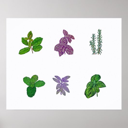 Poster Herbes dans l'aquarelle (Devant)