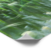 Poster Herbes dansantes (Coin)