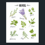 Poster Herbes d'art Herbes d'art Cuisine d'art Décor cuis<br><div class="desc">♥ Une affiche amusante pour votre décor de cuisine pleine d'herbe dessinée à la main.</div>