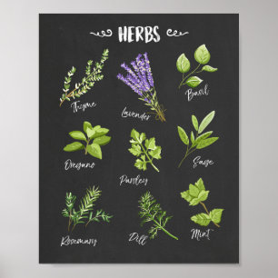 Poster Herbes d'art Herbes d'art Cuisine d'art Décor cuis