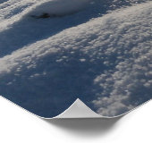 Poster Herbes d'hiver   - (Coin)