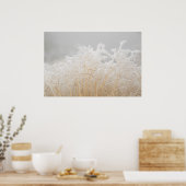 Poster Herbes d'hiver givré (Cuisine)