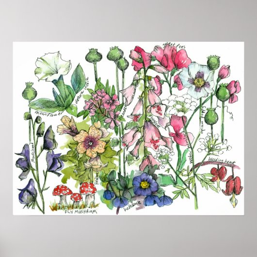 Poster Herbes Plantes poisonnantes Fleurs d'aquarelle (Devant)