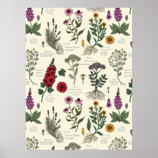 Poster Herbier de jardin médicinal sur fond blanc cassé