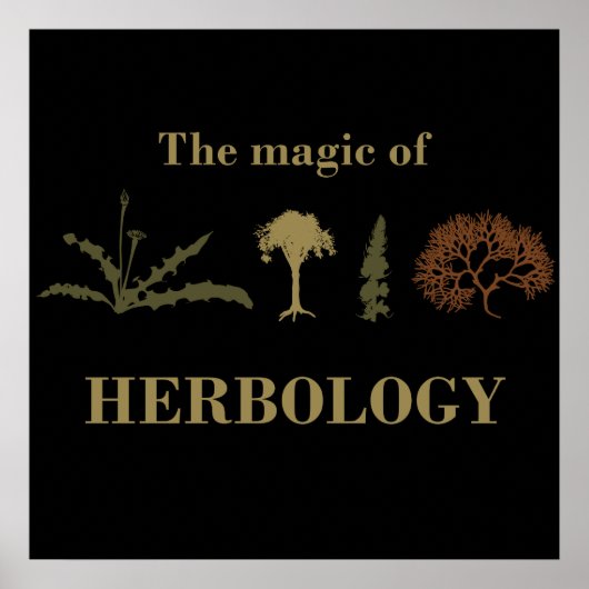 Poster herbologie (Devant)