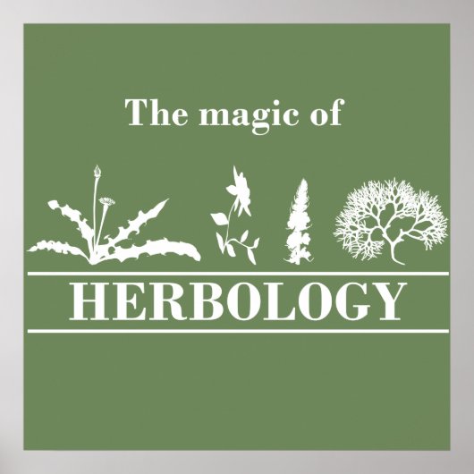 Poster herbologie (Devant)