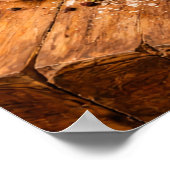 Poster Herbs and Garlic Still Life a Rustic Culinary (Coin)