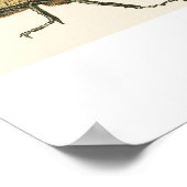 Poster Hercules Beetle (Coin)