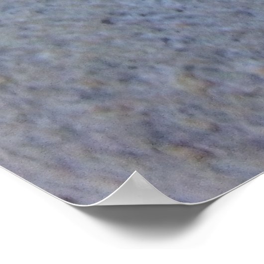 Poster Hercules Beetle (Coin)