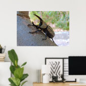 Poster Hercules Beetle (Bureau à domicile)
