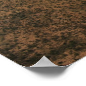 Poster Hercules C-130 (Coin)