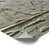 Poster Herdsman à la tête d'un taureau (Coin)