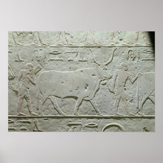 Poster Herdsman à la tête d'un taureau (Devant)