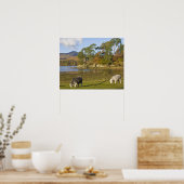 Poster Herdwick brebis à Friars Crag, Derwentwater, 2 (Cuisine)