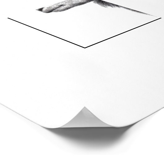 Poster Herdwick Ram en manteau Duffel (Neige) (Coin)