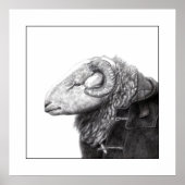 Poster Herdwick Ram en manteau Duffel (Neige) (Devant)