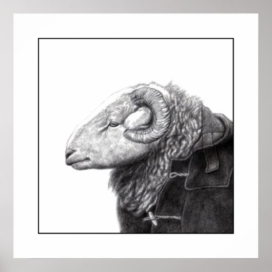 Poster Herdwick Ram en manteau Duffel (Neige) (Devant)