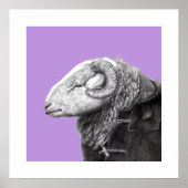 Poster Herdwick Ram en manteau Duffel (Sumire) (Devant)