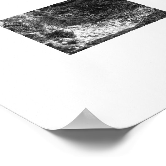 Poster Herdwick Sheep, Cumbria (Coin)