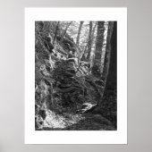 Poster Herdwick Sheep, Cumbria (Devant)