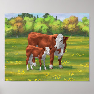 Poster Hereford Cow & Cute Calf dans les pâturages d'été