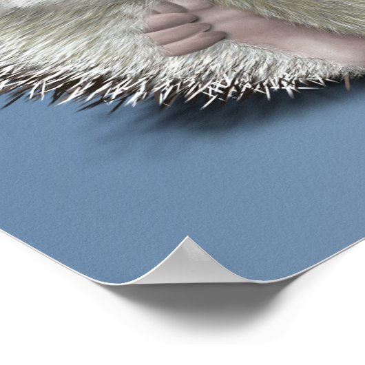 Poster Hérisson (Coin)