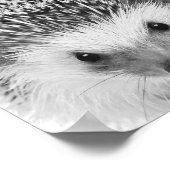 Poster Hérisson Bois Enfants Décor Chambre (Coin)