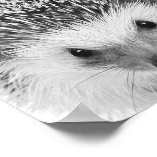 Poster Hérisson Bois Enfants Décor Chambre (Coin)