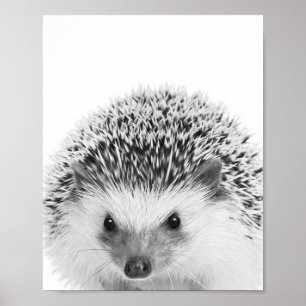 Poster Hérisson Bois Enfants Décor Chambre