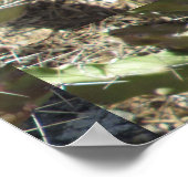 Poster Hérisson Cactus (Coin)
