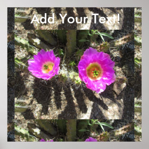 Poster Hérisson Cactus