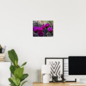 Poster Hérisson Cactus Fleurs magenta Arizona Sud-ouest (Bureau à domicile)