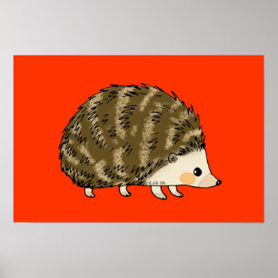 Poster Hérisson mignon