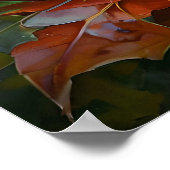 Poster Hérisson Mignon dans les Feuilles d'Automne – Art (Coin)