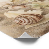 Poster Hérisson par Giovanna Garzoni (Coin)