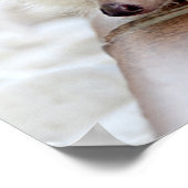 Poster Hérisson pour bébé mignon personnalisable (Coin)