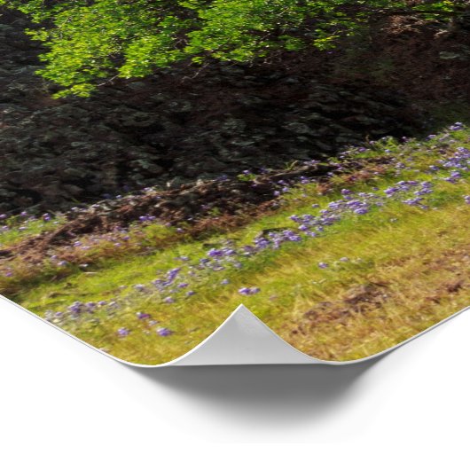 Poster Héritier en chêne (Coin)