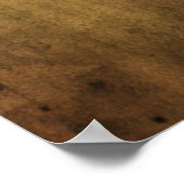 Poster Herman Melville (Coin)