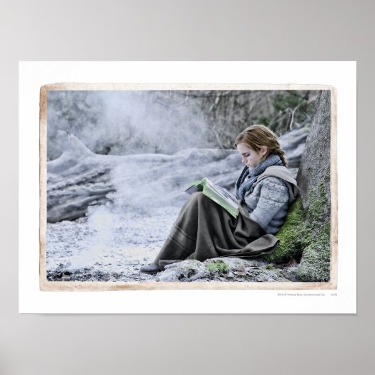 Poster Hermione 13 (Devant)