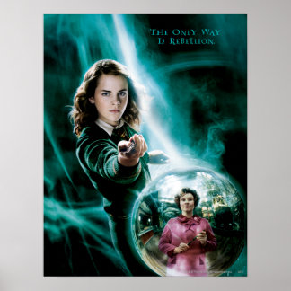 Poster Hermione Granger et le professeur Umbridge
