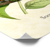 Poster Hermite à ciel ouvert Hummingbird Art Imprimer (Coin)