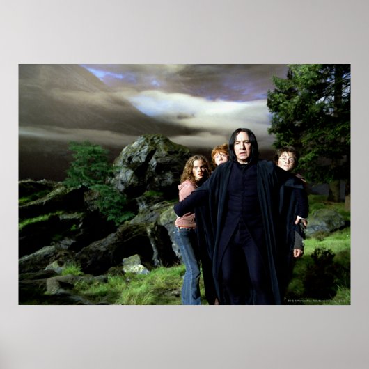 Poster Hermoine de Snape Ron Harry (Devant)