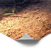 POSTER HERO AUDIE MURPHY GRAVE - ARLINGTON (Coin)